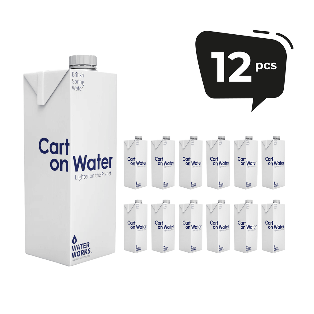 Carton Water 1 Litre - THINK GOURMET